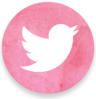 Monica Anne Books Twitter bird link to Twitter page